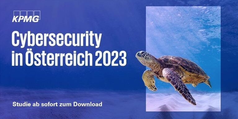 schildkröte im meer